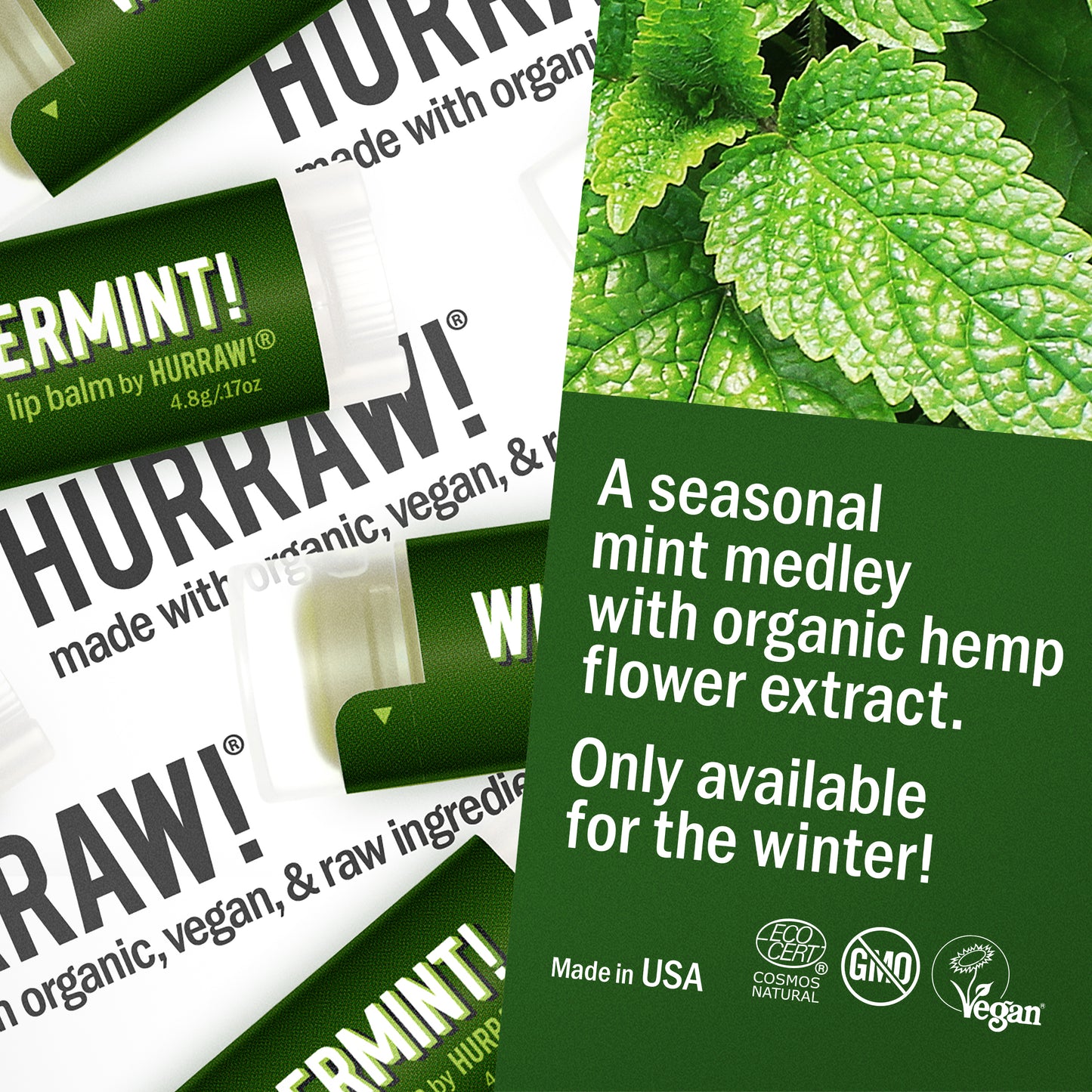 Wintermint Lip Balm ( December - March)