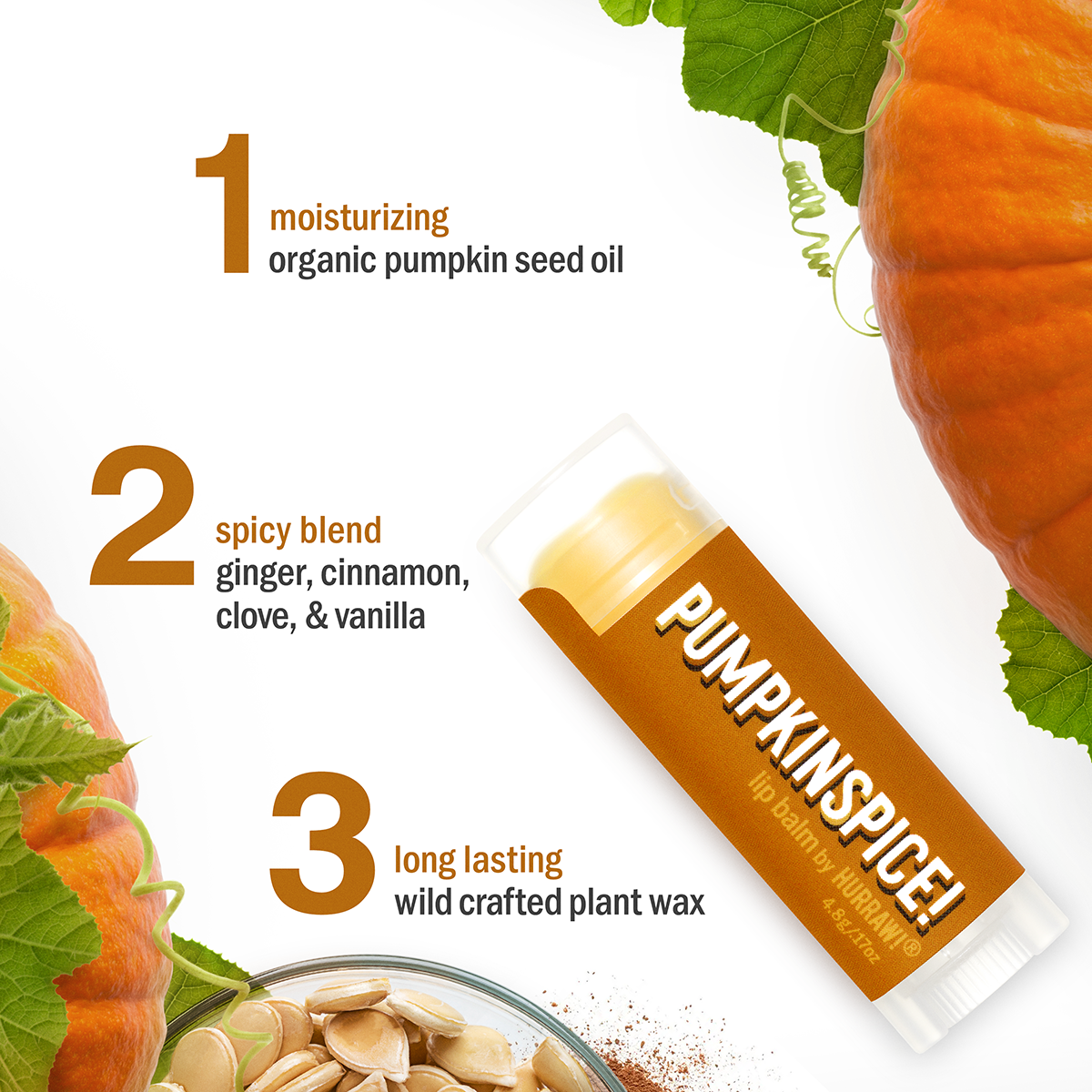 Pumpkin Spice Lip Balm ( October - December )