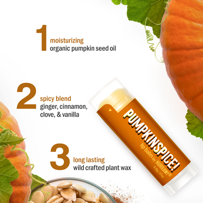 Pumpkin Spice Lip Balm ( October - January )