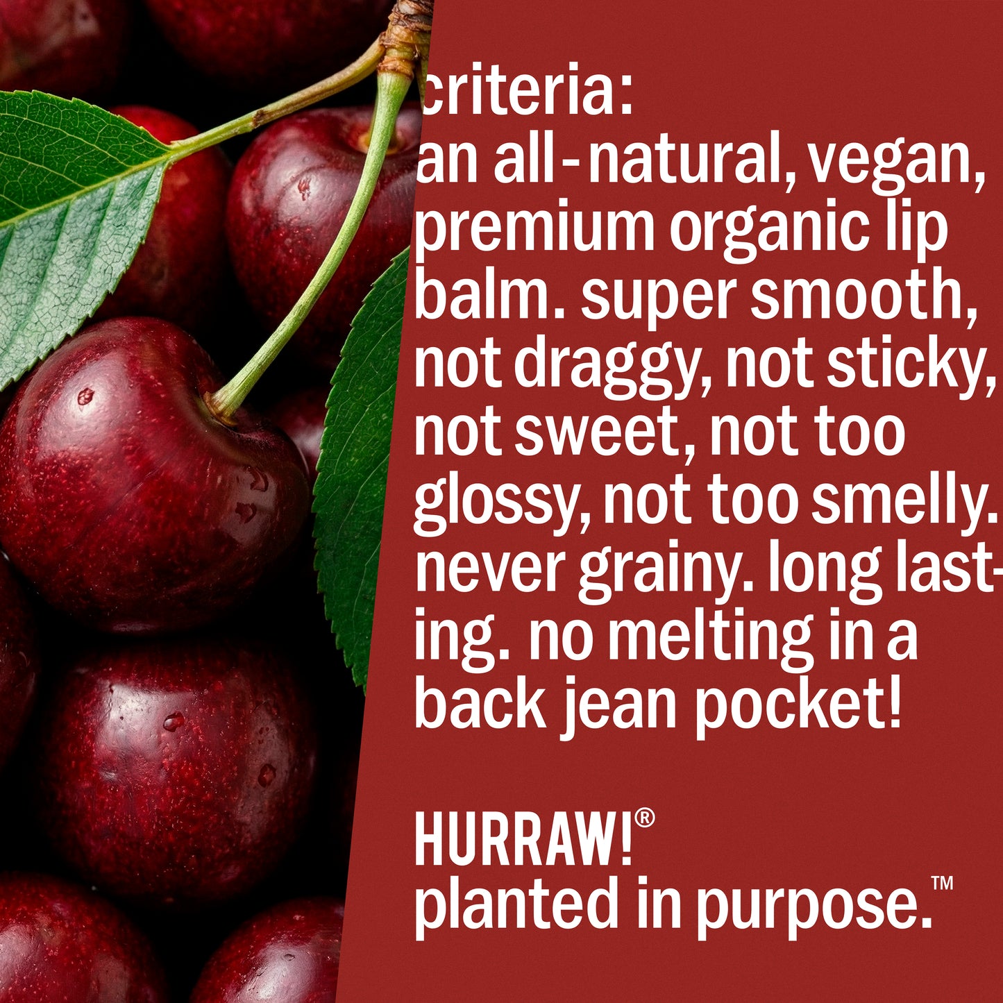 Black Cherry Tinted Lip Balm