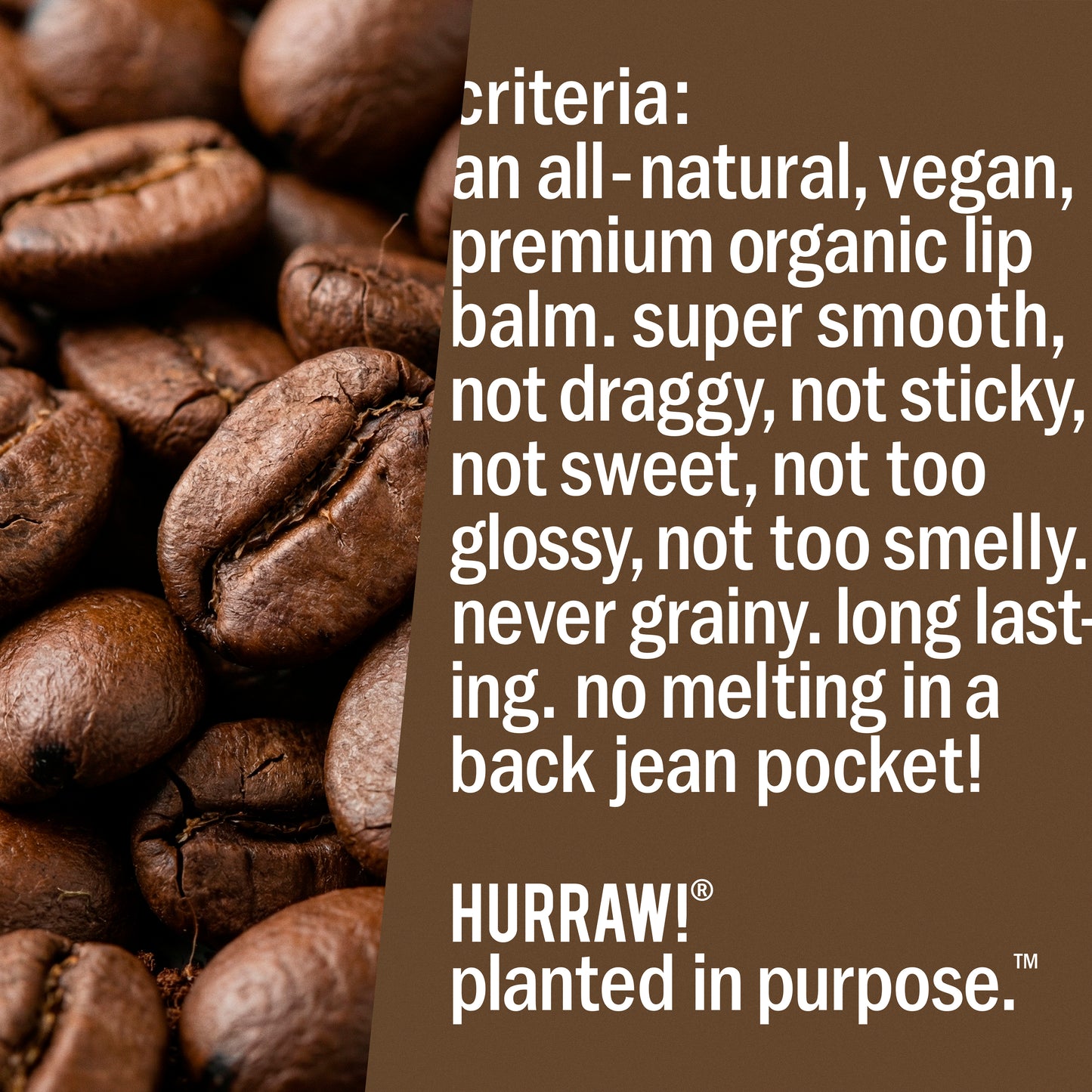 Coffee Bean Lip Balm