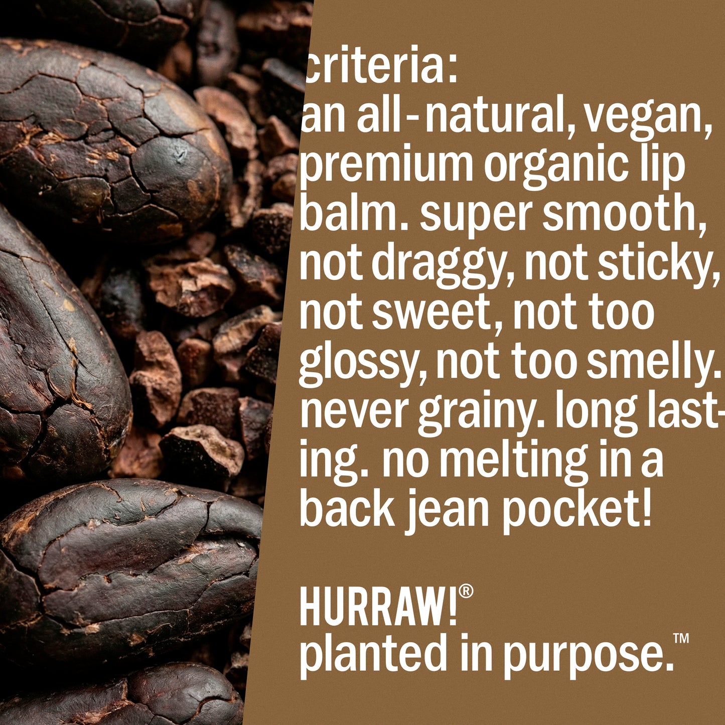 Chocolate Lip Balm