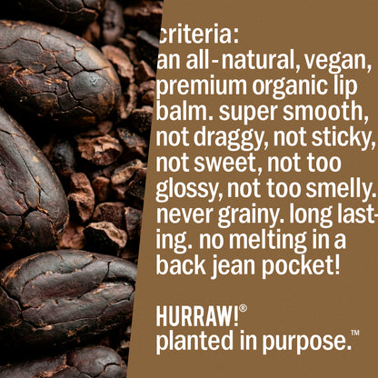 Chocolate Lip Balm