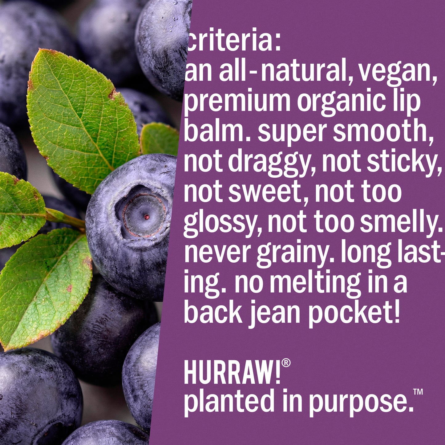 Huckleberry Lip Balm ( May - September )
