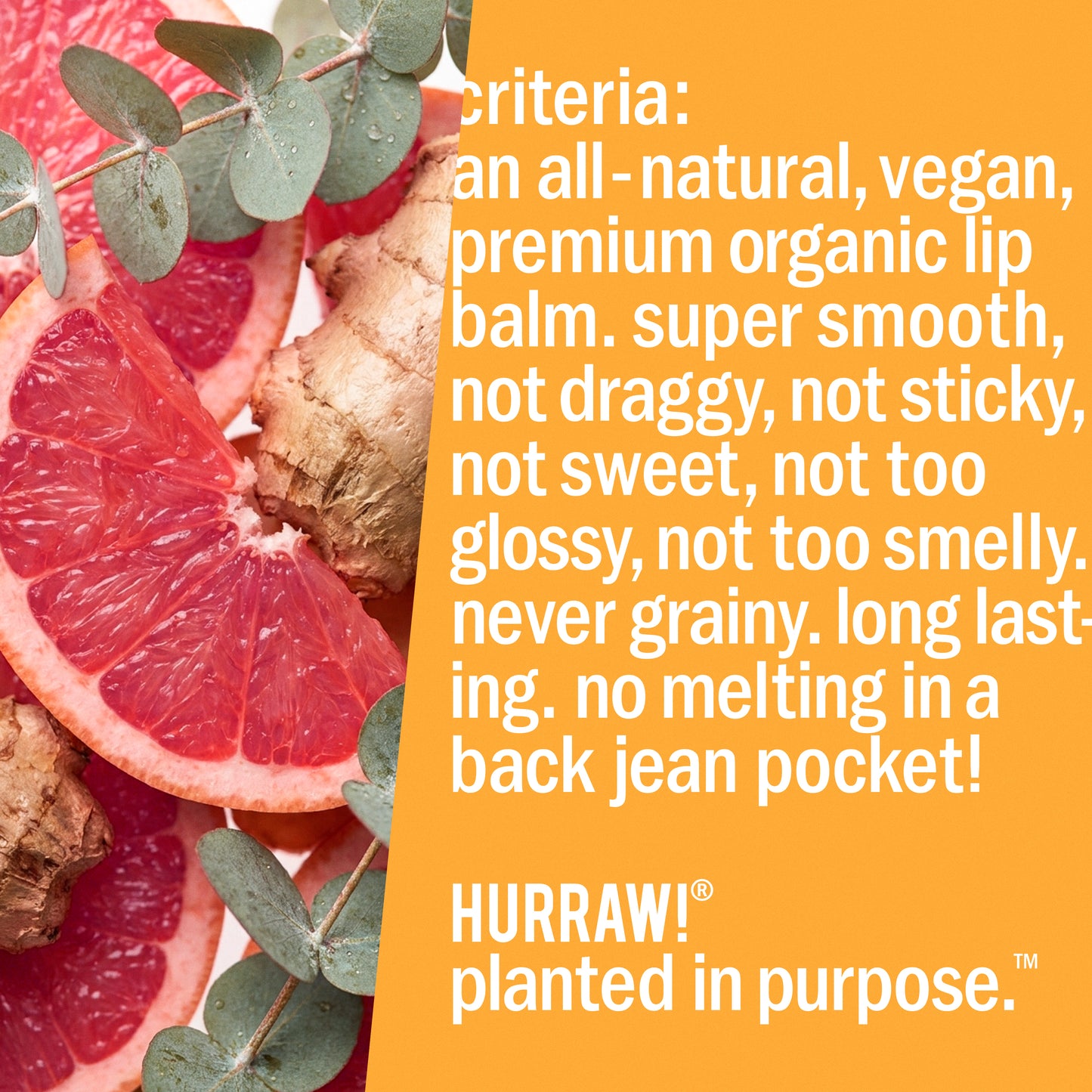 Kapha Lip Balm : grapefruit ginger eucalyptus