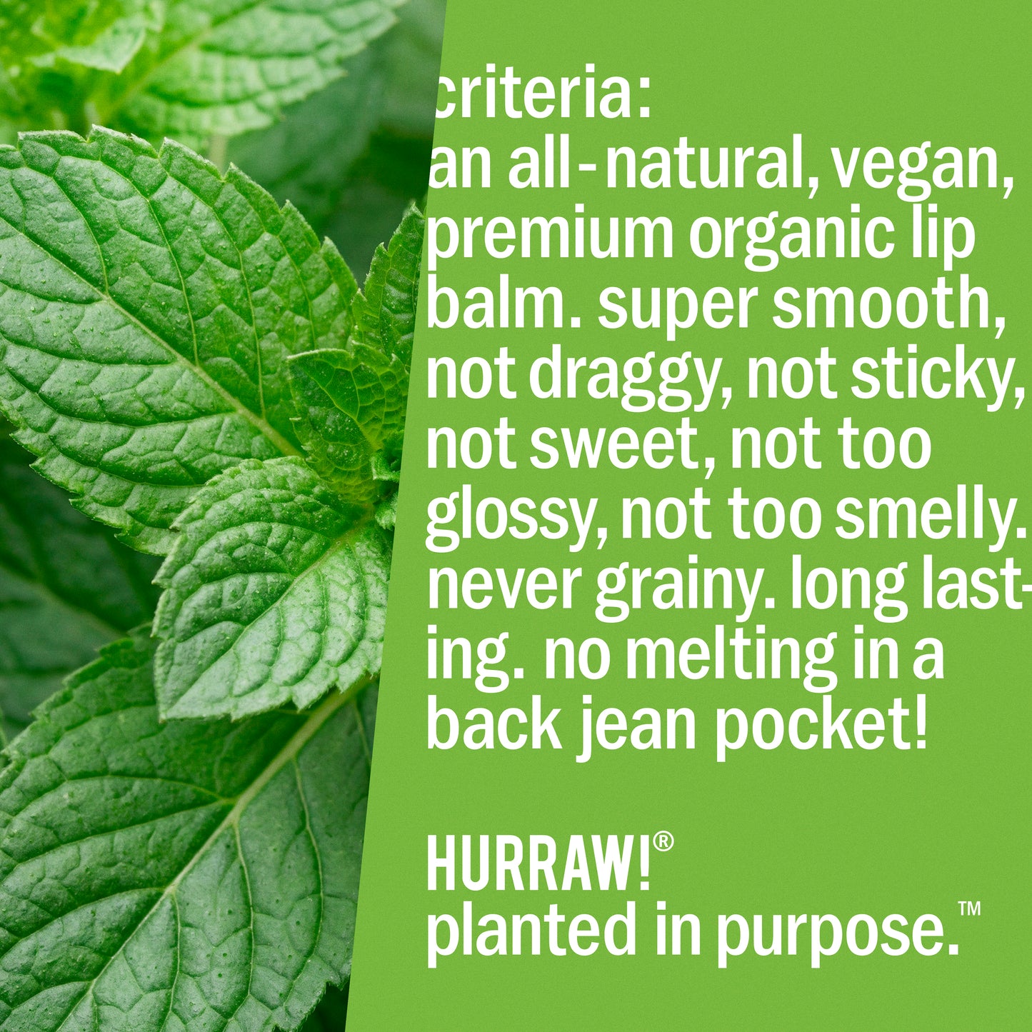 Mint Lip Balm