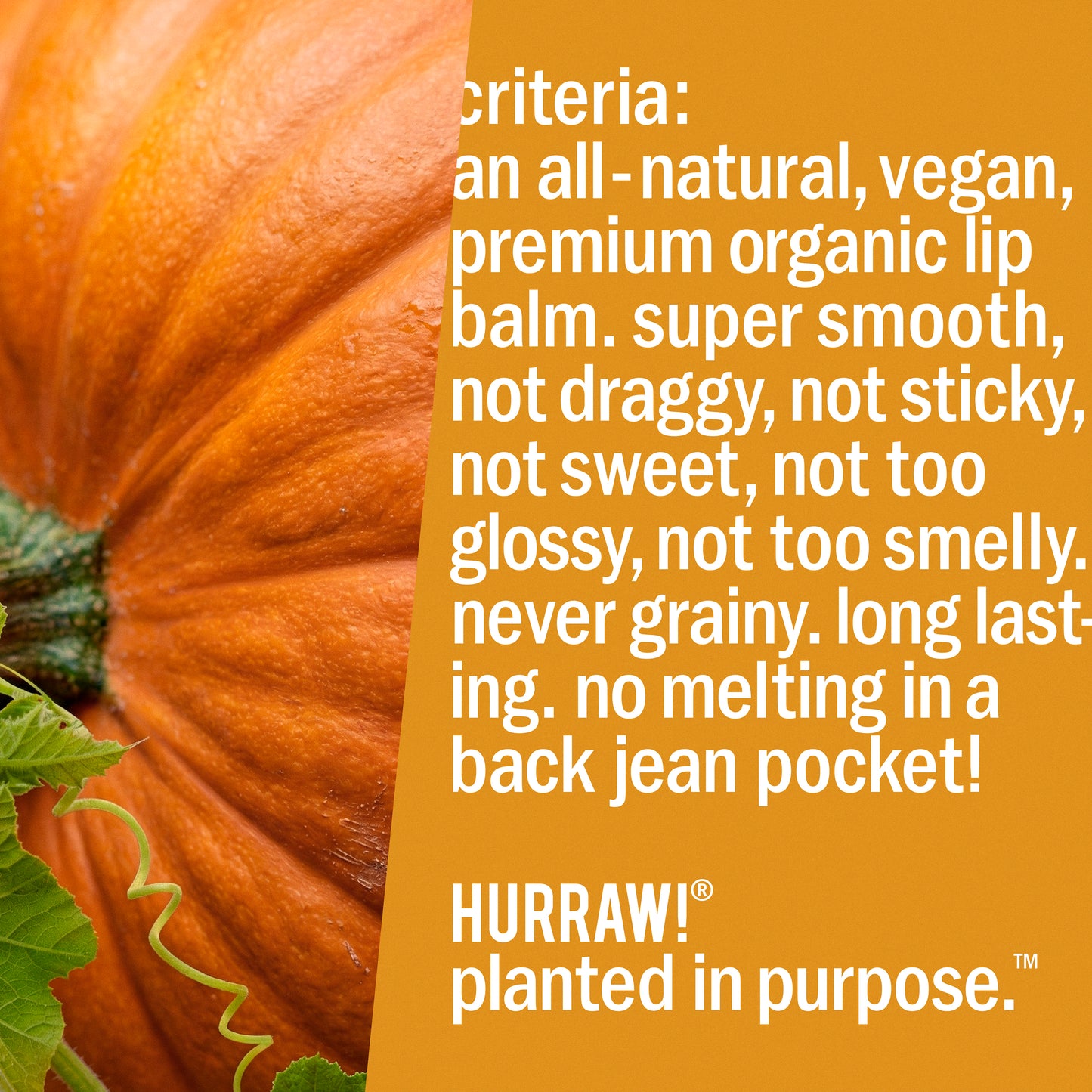 Pumpkin Spice Lip Balm ( October - December )