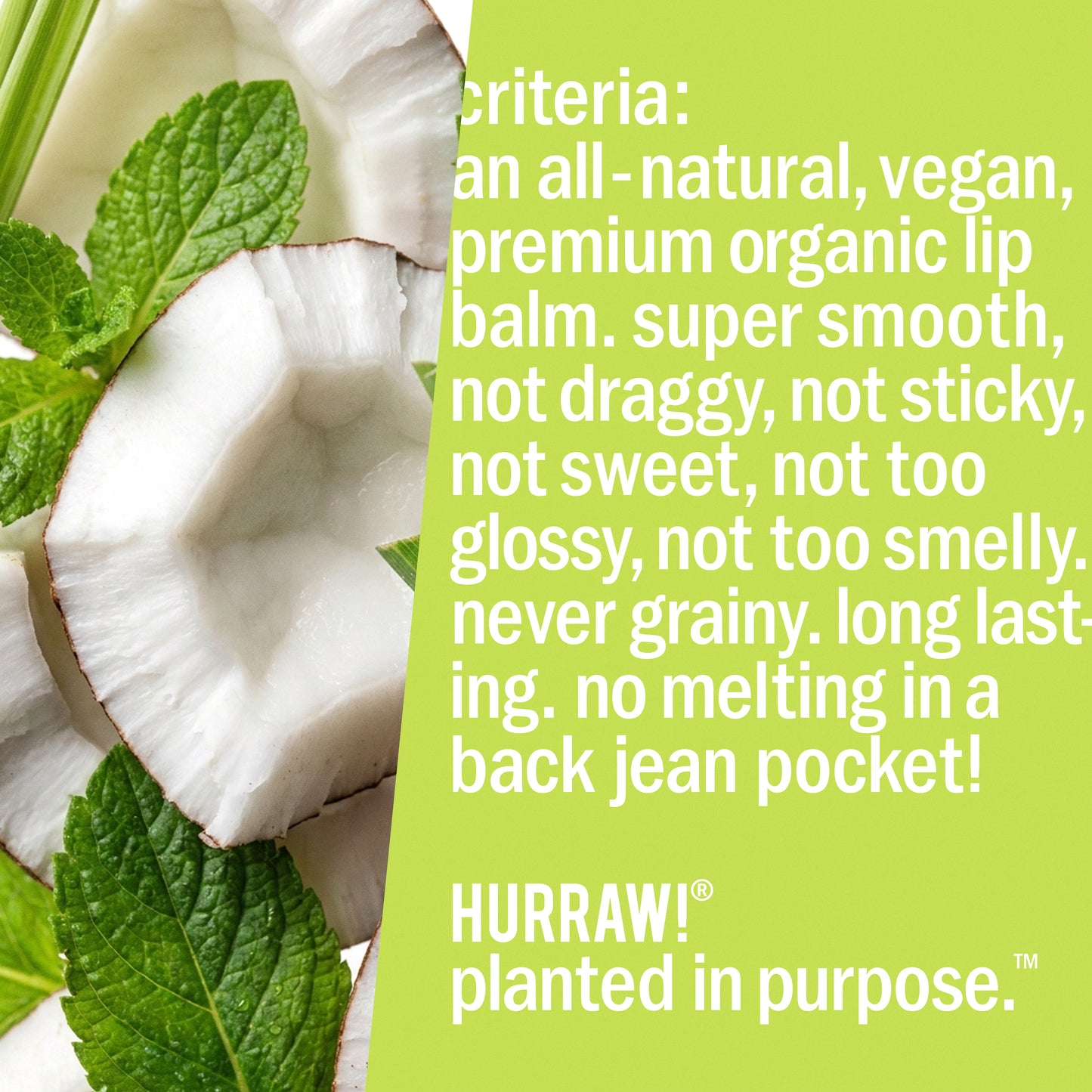 Pitta Lip Balm : coconut mint lemongrass