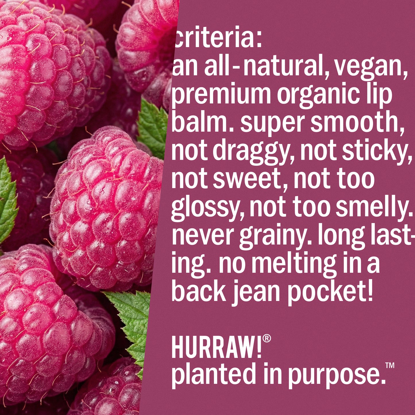 Raspberry Tinted Lip Balm